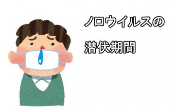 ノロウィルス